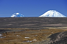 0113 NP Lauca.jpg